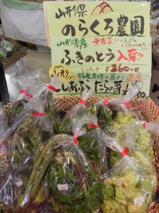 投稿についてもっと詳しく 今が旬♪山菜入荷中です！