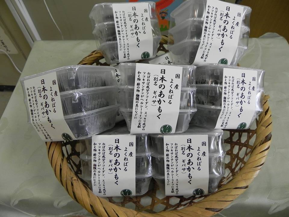 投稿についてもっと詳しく 大人気♪　あかもく入荷しました！