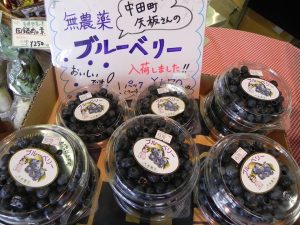 投稿についてもっと詳しく 無農薬・無化学肥料「矢板さんのブルーベリー」