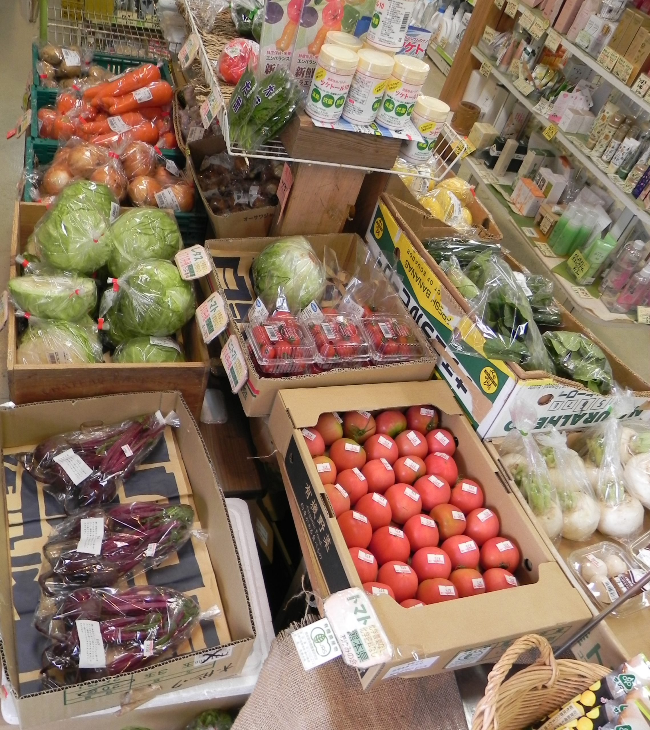 投稿についてもっと詳しく お野菜　入荷しました♪