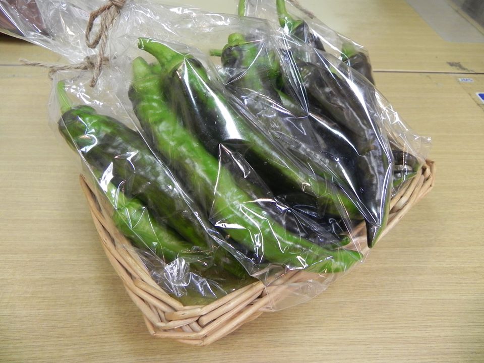 【ごっつぁんファーム】万願寺唐辛子