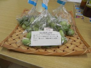 投稿についてもっと詳しく 【小鮒農園】マイクロキュウリ