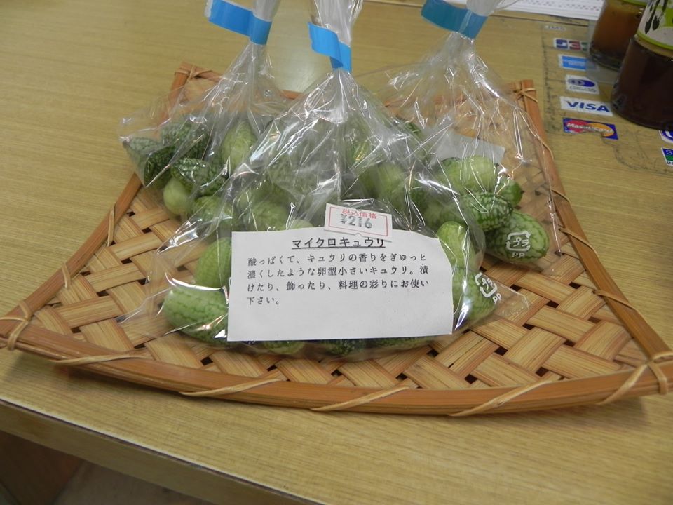 投稿についてもっと詳しく 【小鮒農園】マイクロキュウリ