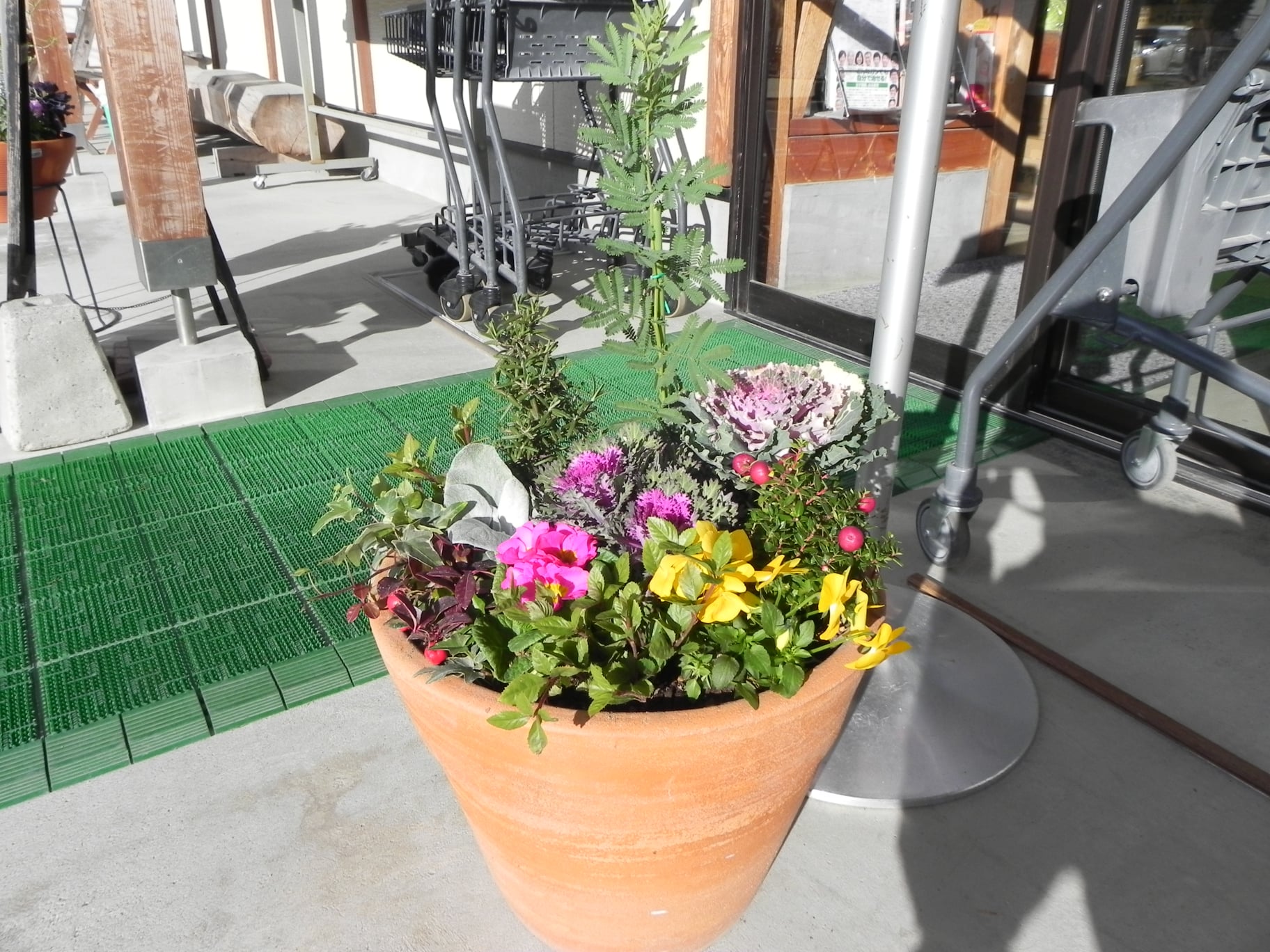 花と緑と雑貨のお店「Omoto」さんが綺麗な寄せ植え