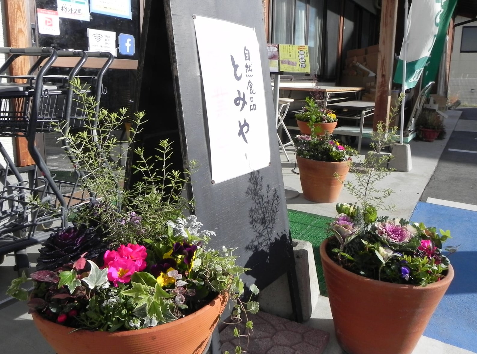 投稿についてもっと詳しく 花と緑と雑貨のお店「Omoto」さんが綺麗な寄せ植え
