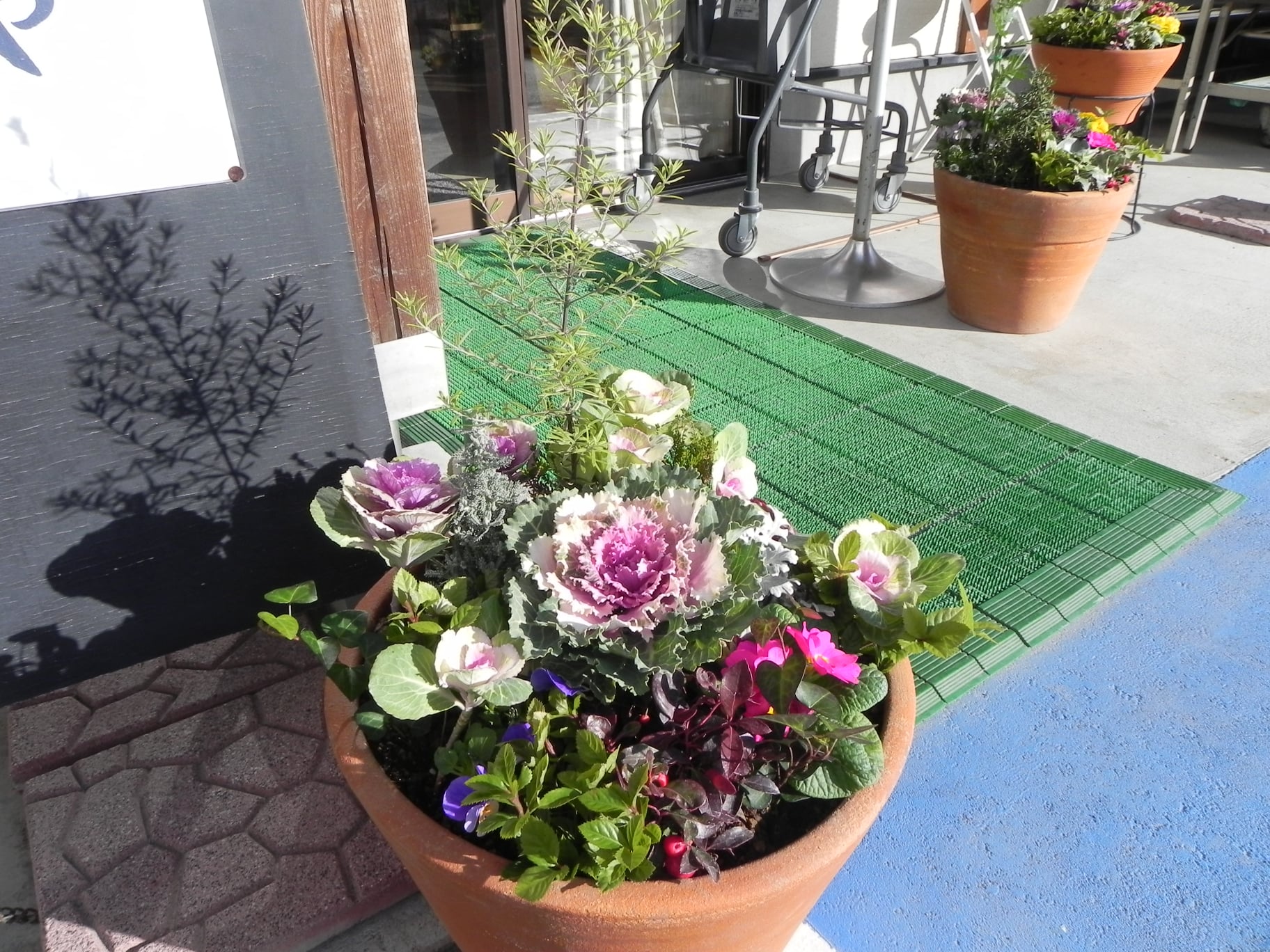花と緑と雑貨のお店「Omoto」さんが綺麗な寄せ植え