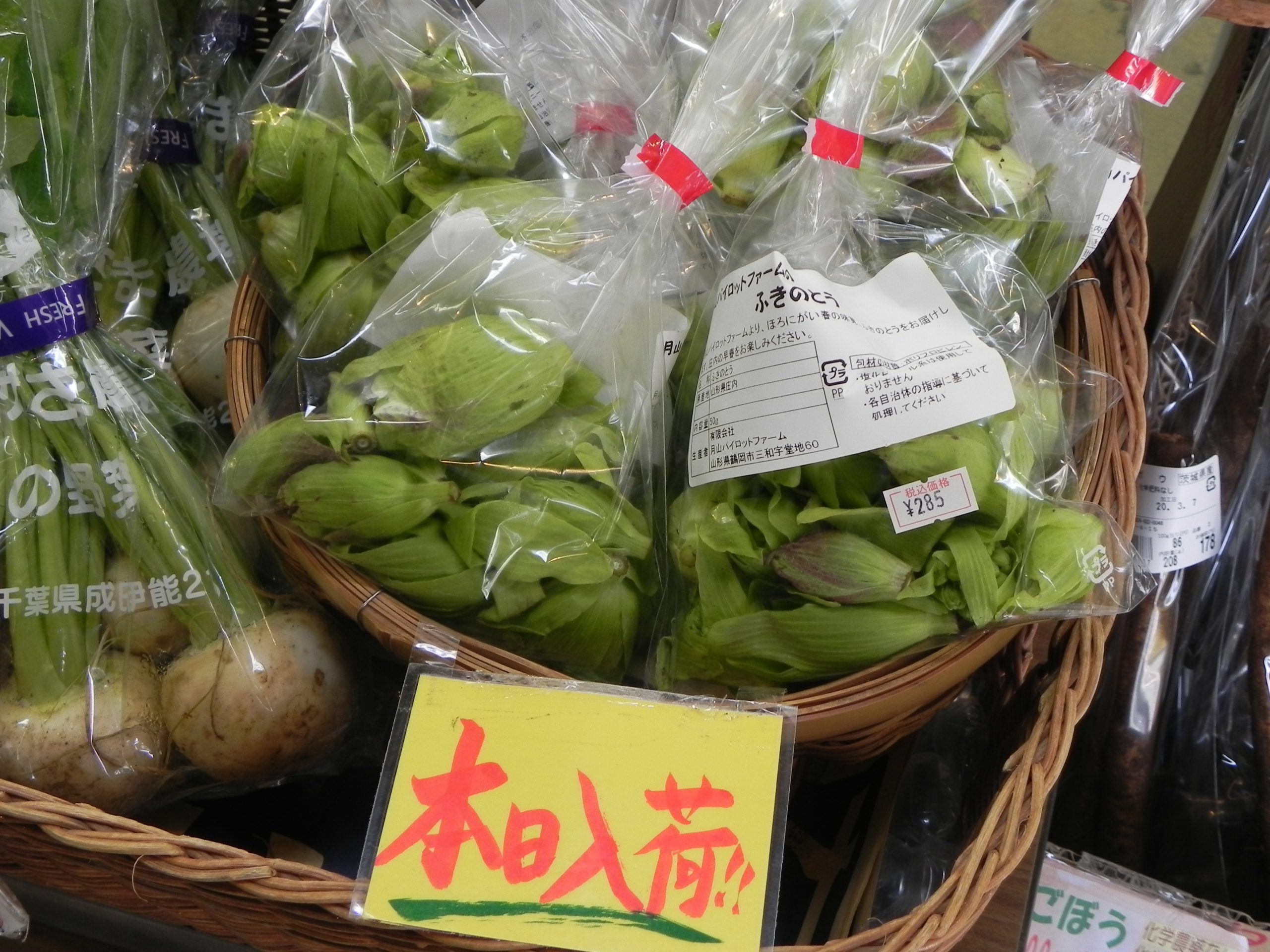 投稿についてもっと詳しく ふきのとう入荷！