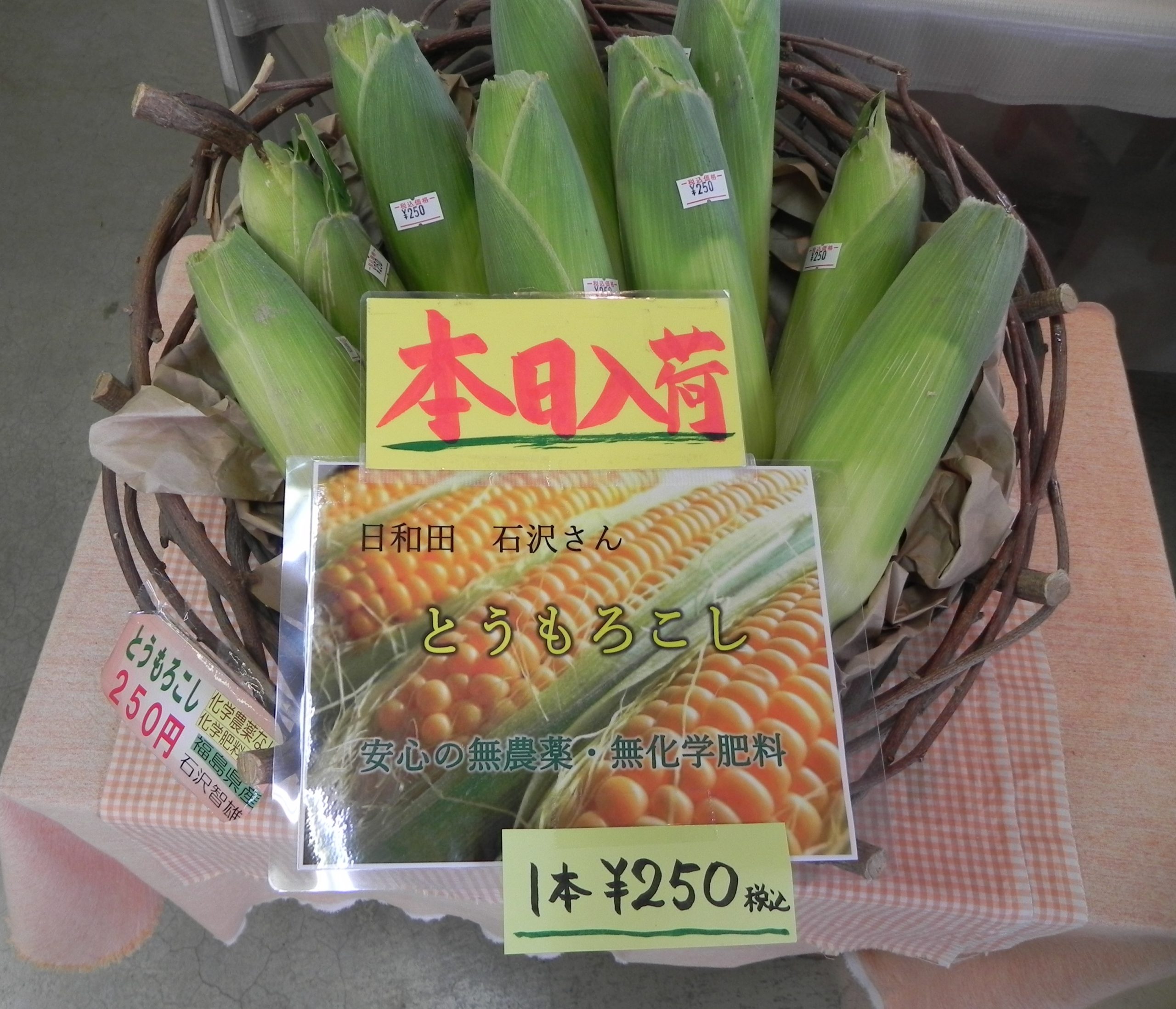 投稿についてもっと詳しく トウモロコシ入荷しました!(^^)