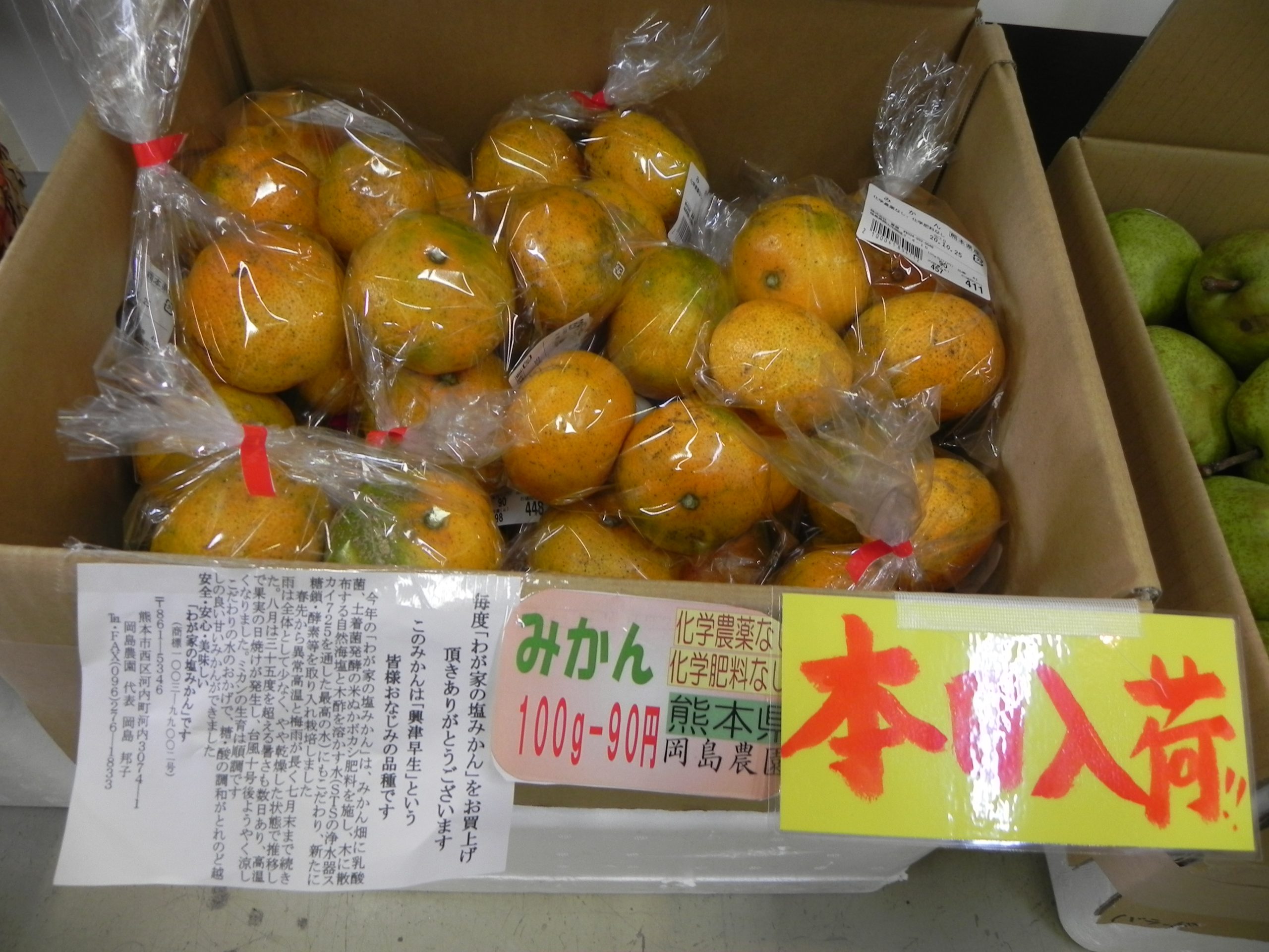 投稿についてもっと詳しく 塩みかん入荷しました！