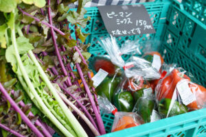 投稿についてもっと詳しく わんぱく農園の“まこもたけ”の試食会　開催しました[終了]